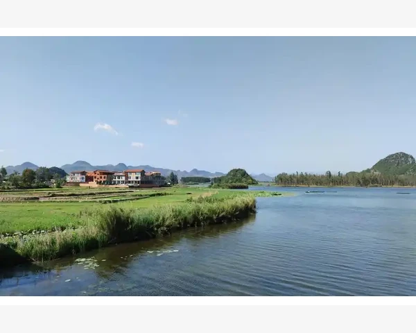 止咳化痰：怎样用蒸梨做良效药