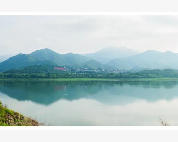 养阴清肺，健康之道